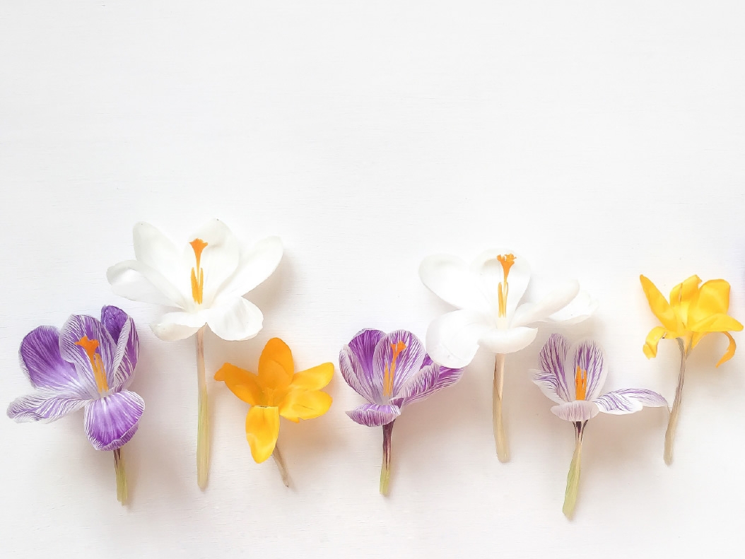 Frische, sanfte Farben im Sonnenhof Dietikon Blumen im Sonnenhof Dietikon