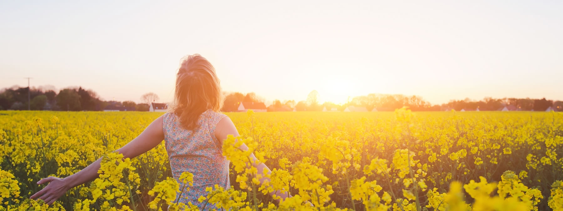 Blumenwiese mit Blick auf Dietikon